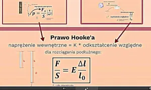 Prawo Hooka: Definicja, wzory i praktyczne zastosowania w fizyce
