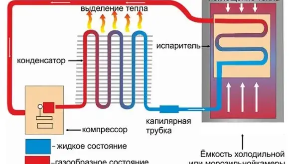 Jak działa lodówka: Mechanizm i zasady funkcjonowania