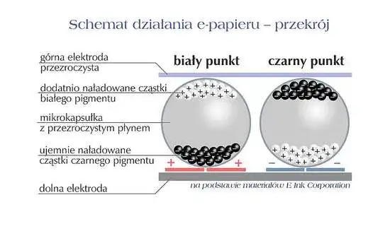 Jak działają ekrany e-ink i do czego są wykorzystywane w smartwatchach?